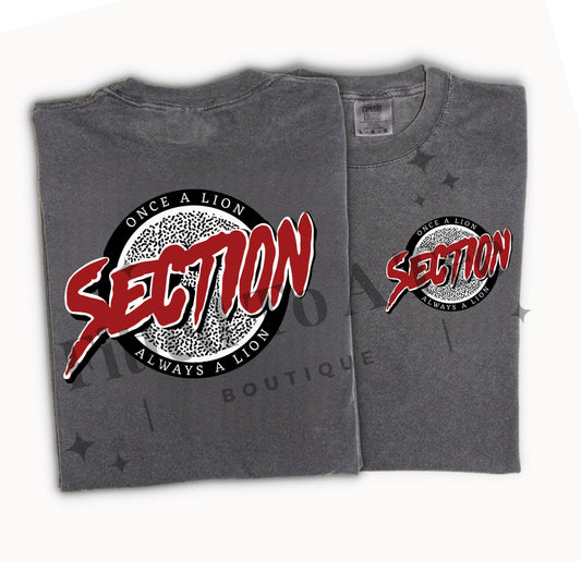 Section Old Row Tshirt