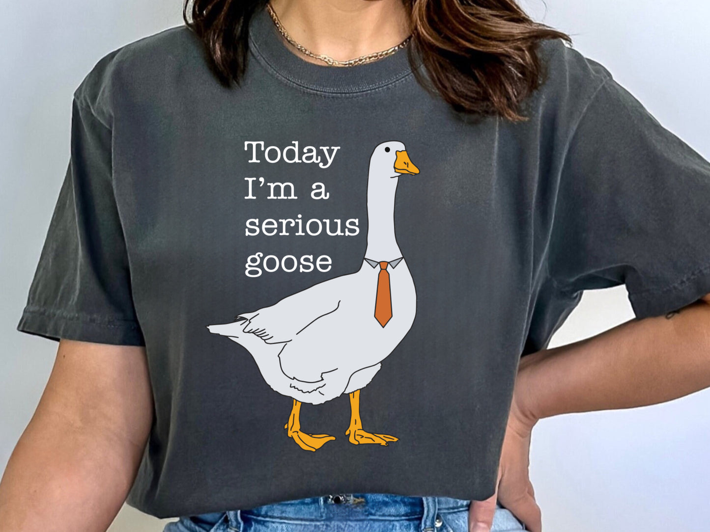 Today I am a Serious Goose Tshirt