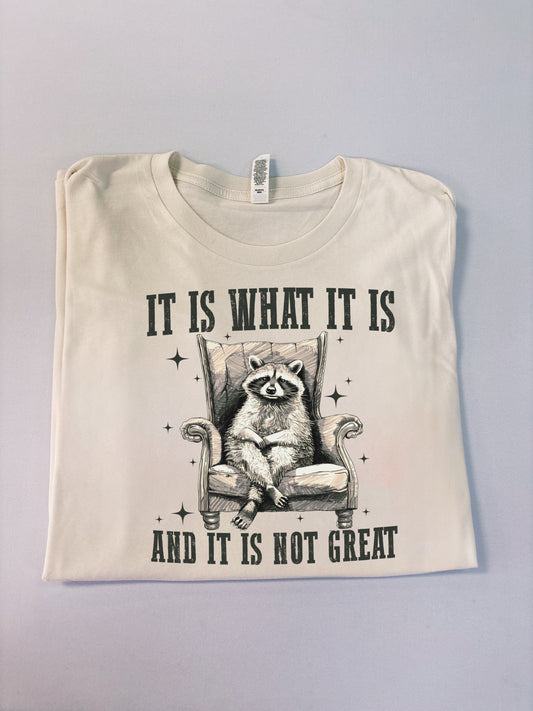 It is what it is, and it’s not great Raccoon tshirt