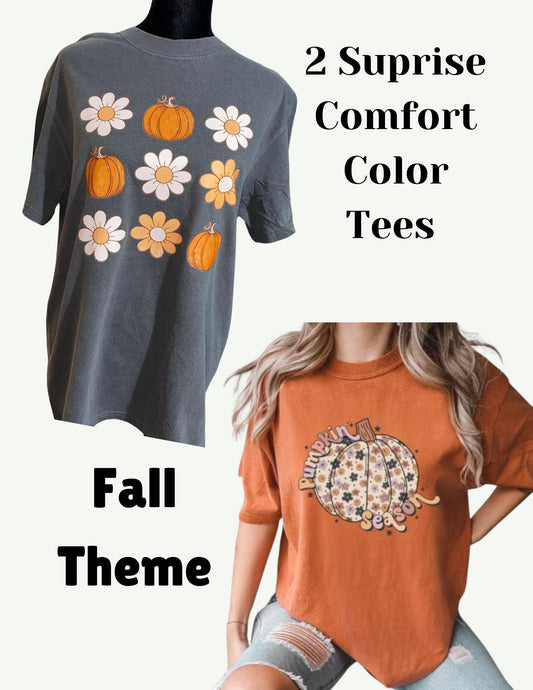 Fall Theme : 2 Suprise Comfort Color Tees